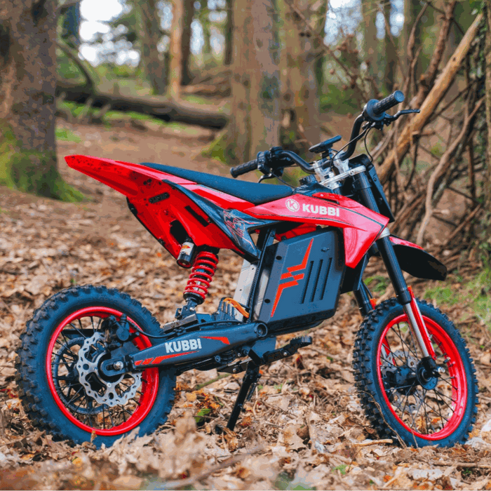 Kubbi K22